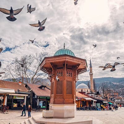 sarajevo ancestral medicine 500sq
