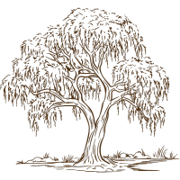 aert icon 3