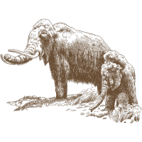 aert icon 4