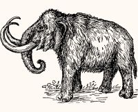 animals mastadon