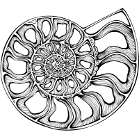 fossil icon 6