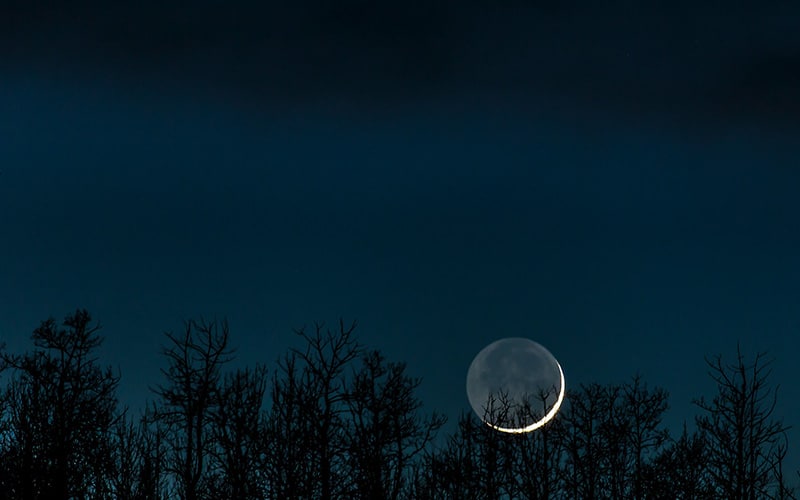 new moon ritual ideas ancestral medicine 800 500