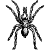 reclaiming intuition icon 1