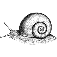 reclaiming intuition icon 2