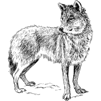 reclaiming intuition icon 3