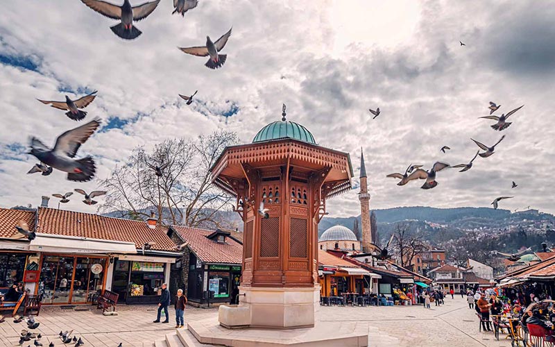 sarajevo blog post ancestral medicine 800 500