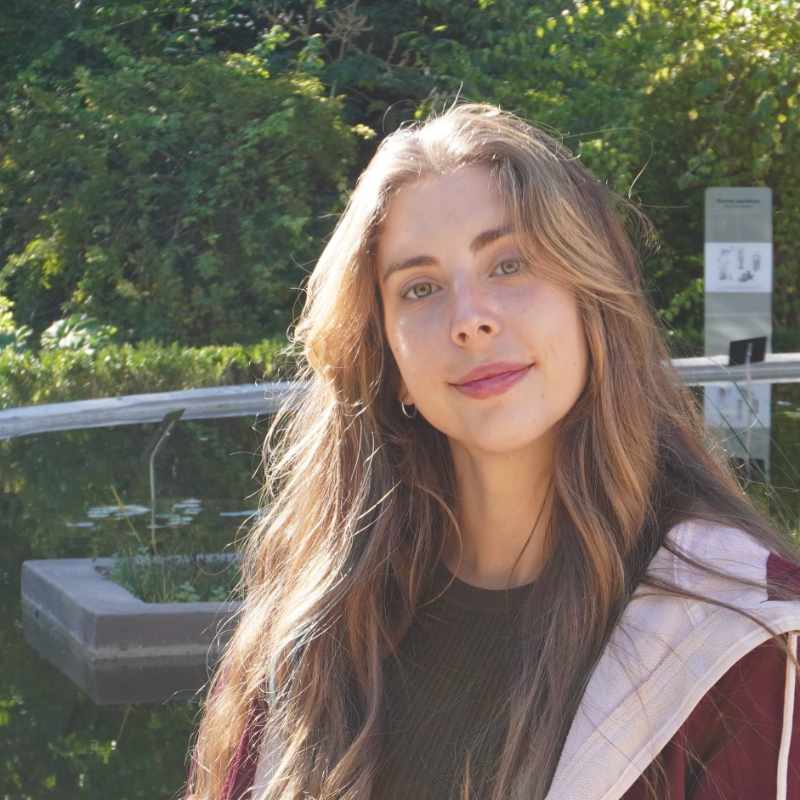 lucia salas ancestral medicine 800sq