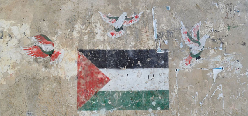 reintroduction of daniel foor blog post ancestral medicine 2