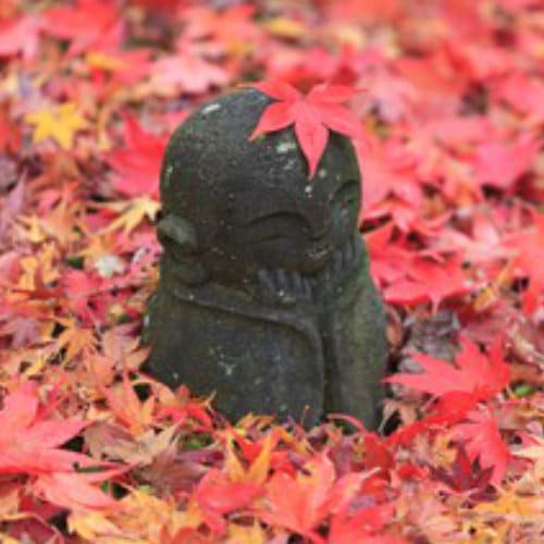 animist psychology curriculum new l11