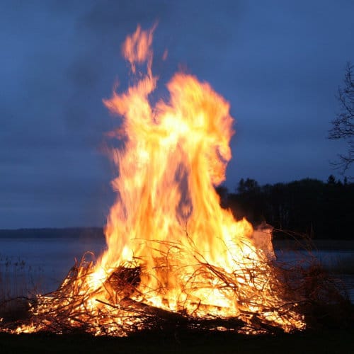 animist psychology curriculum new l7