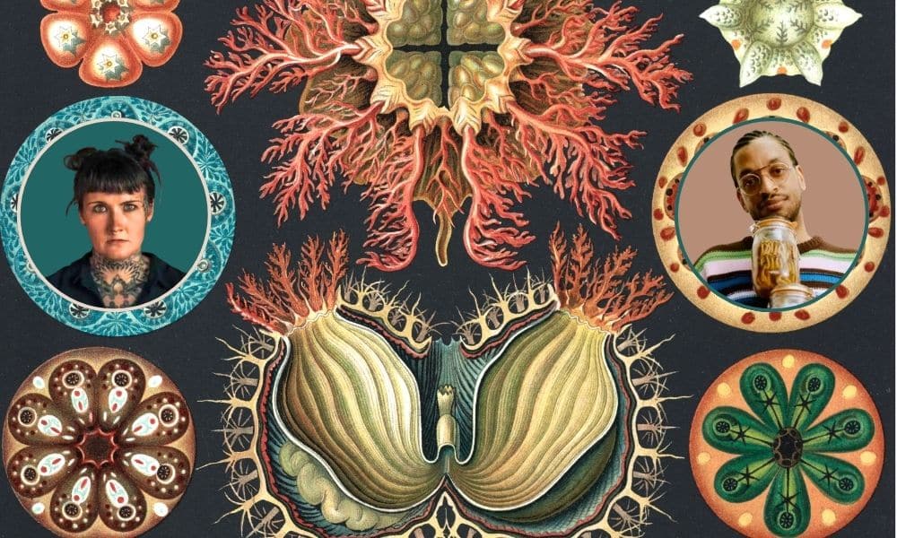 web thumbnails 500 300 (2)