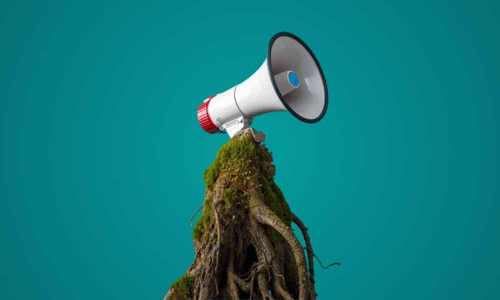 nurturing healthy culture with the earth and ancestors 1000 600