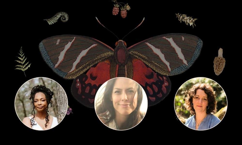 writing with the dead ancestral medicine banner speakers 2