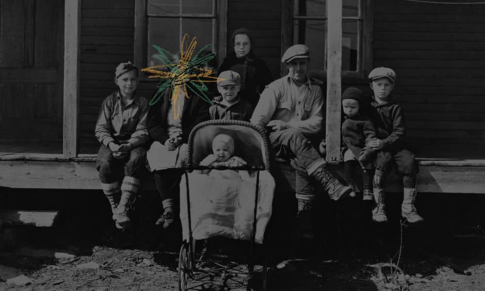 the mob and the medicine 1000 600